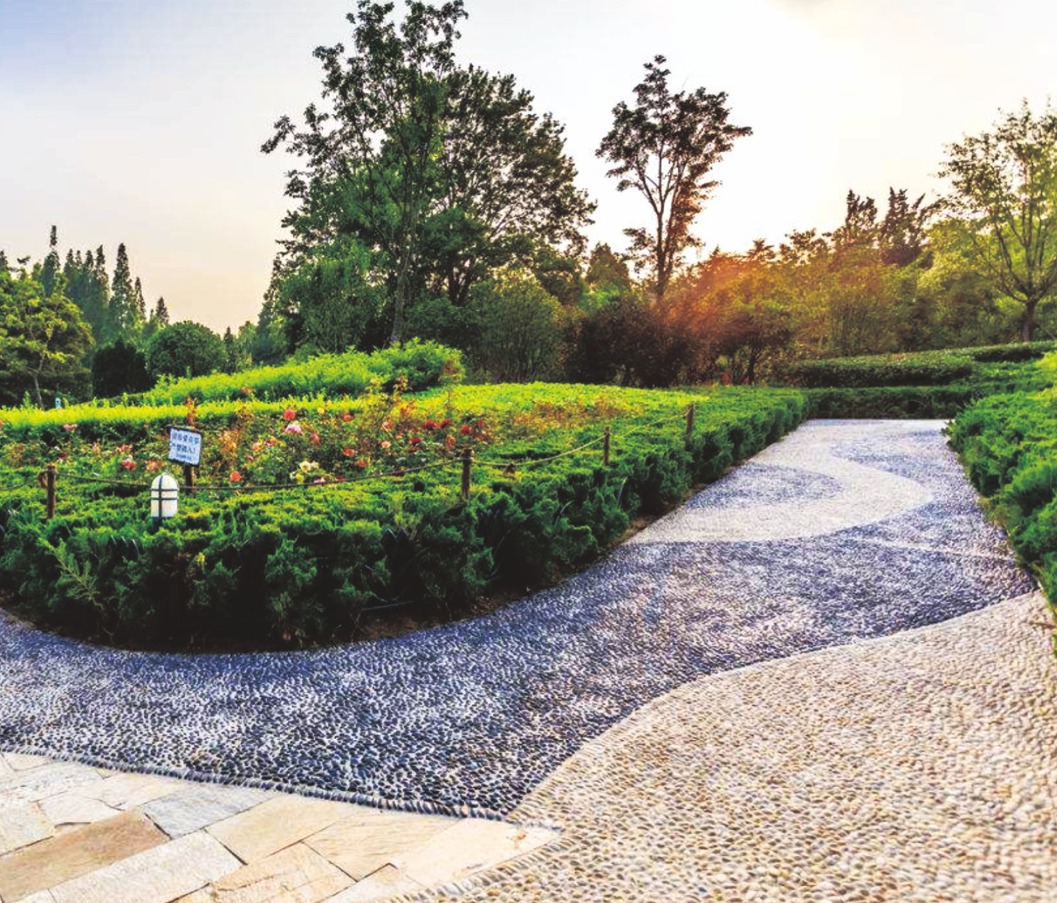 九江市芳兰、濂溪小游园二期